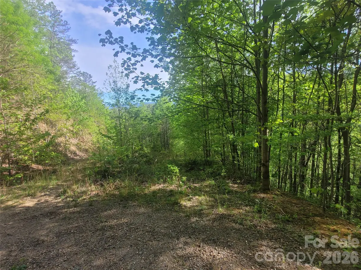 99999 Wolverine Court #53, Waynesville, NC 28785 - #1