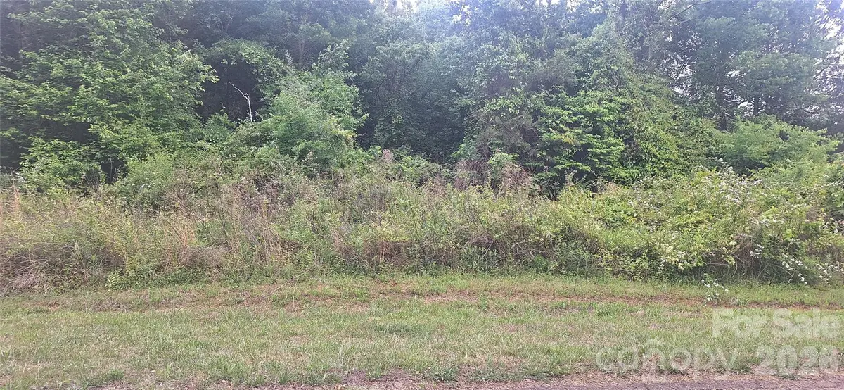 4062 Fairview Drive, Maiden, NC 28650 - #1