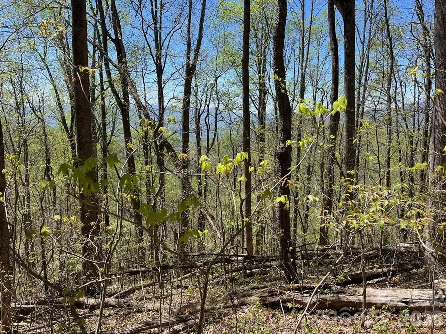 0 Crackin Chestnut Lane, Sylva, NC 28779 - #2