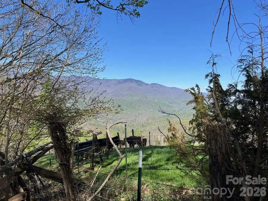 0 Crackin Chestnut Lane, Sylva, NC 28779 - #3