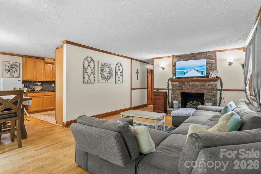 1000 Mountain View Church Road, Zirconia, NC 28790 - #2