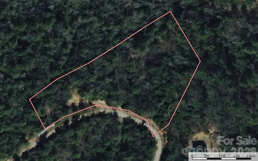 TBD Staghorn Road #160 & 161, Purlear, NC 28665 - #3