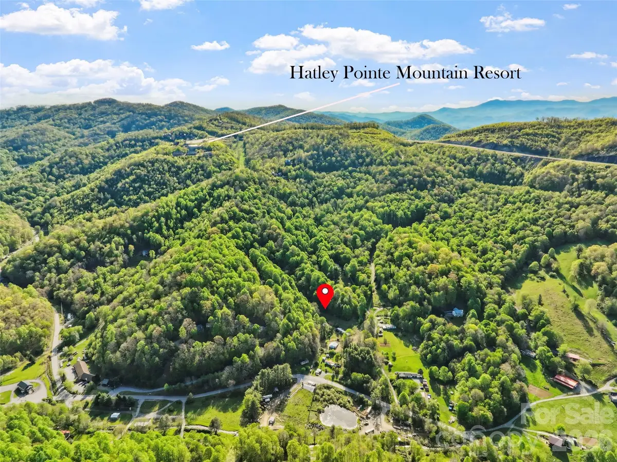 3454 Puncheon Fork Road, Mars Hill, NC 28754 - #1
