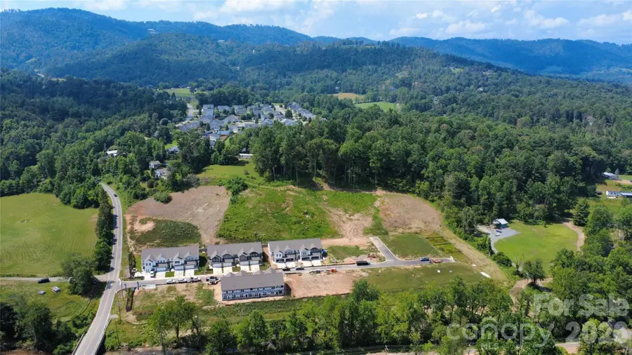 208 Driscoll Way, Weaverville, NC 28787 - #2