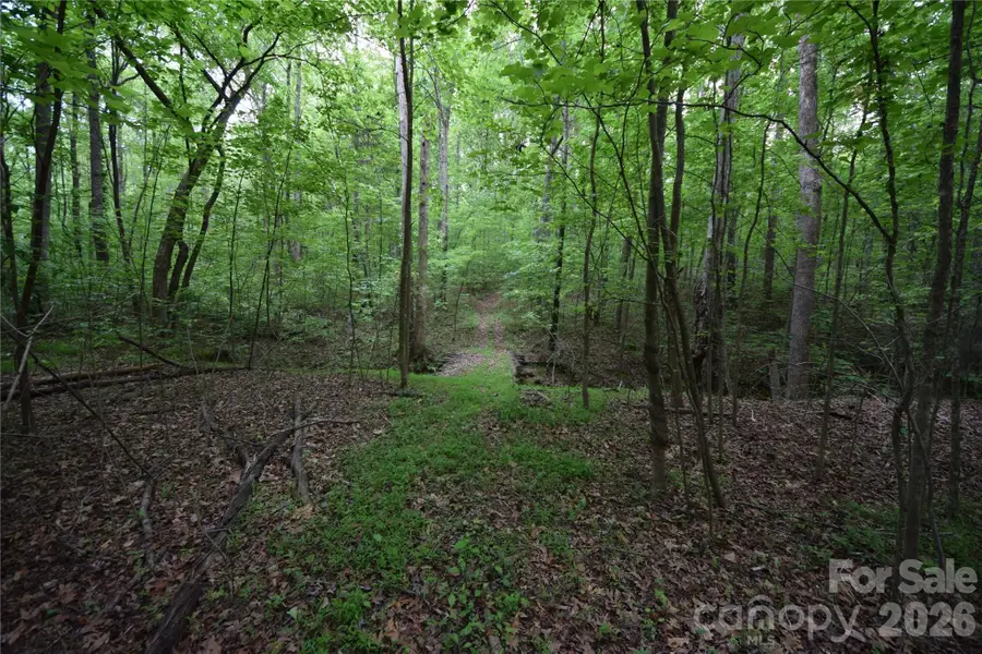 3007 Paraham Road S, York, SC 29745 - #2