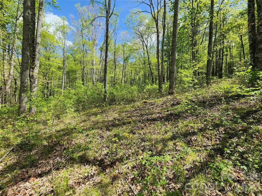 165 Wagon Wheel Way #2, Canton, NC 28716 - #2