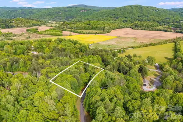 0000 Newcastle Road #52, Brevard, NC 28712