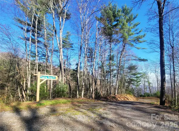 111 Digging Seng Trail #138, Waynesville, NC 28785