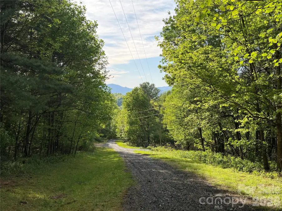 00000 Apple Farm Road, Bakersville, NC 28705 - #2