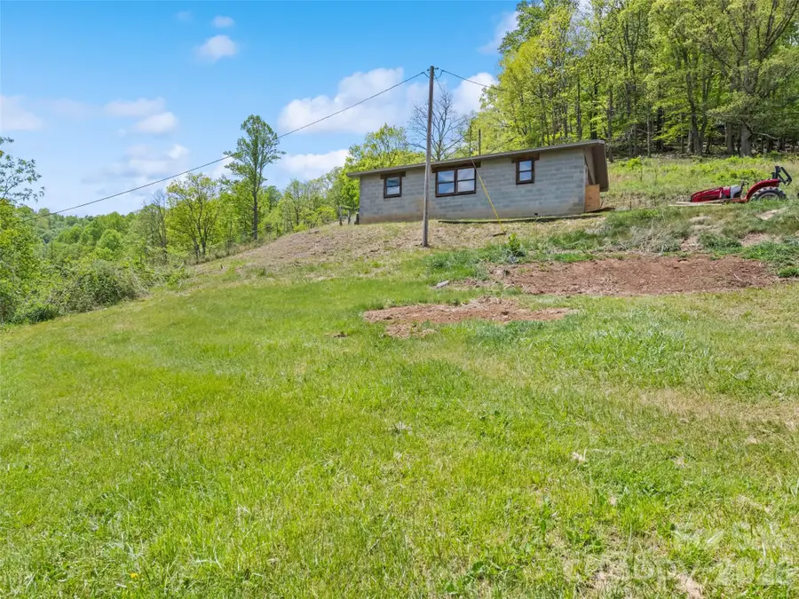 3607 Max Patch Road, Clyde, NC 28721 - #3