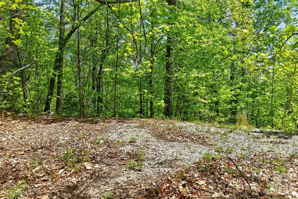 0 Bobcat Drive #741, Old Fort, NC 28762