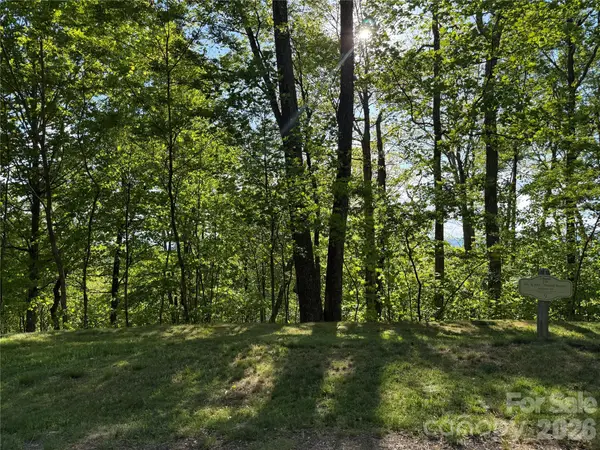 Lot 9 & 10 Andrew Banks Road, Burnsville, NC 28714
