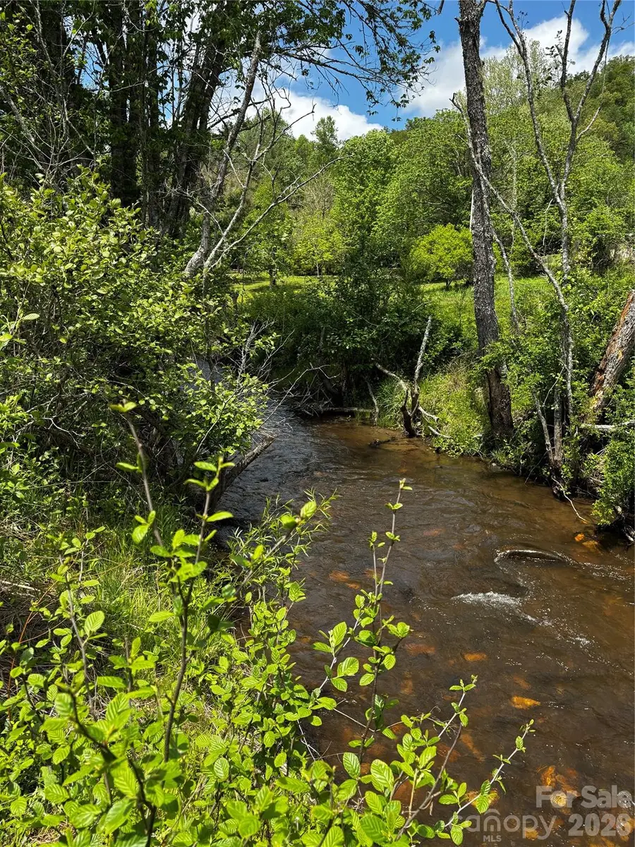 1659 Mountain Creek Road, Cheoah, NC 28871 - #2