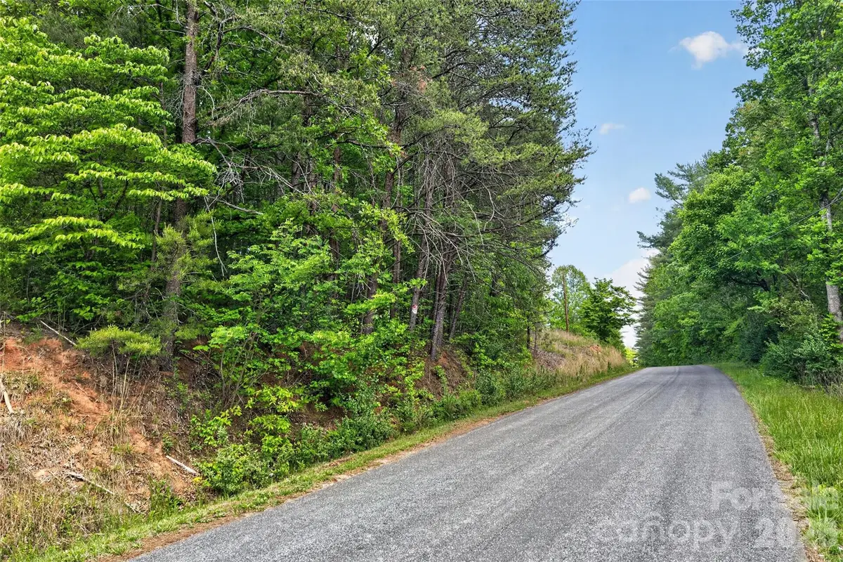 99999 Wright Road, Marion, NC 28752 - #1