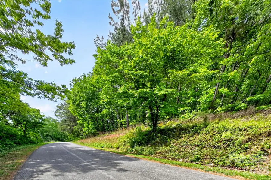 99999 Wright Road, Marion, NC 28752 - #2