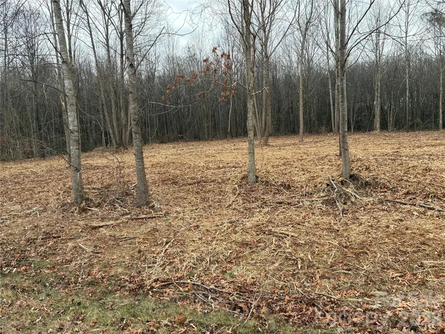2 Erwin Temple Church Road, Woodleaf, NC 27054 - #2