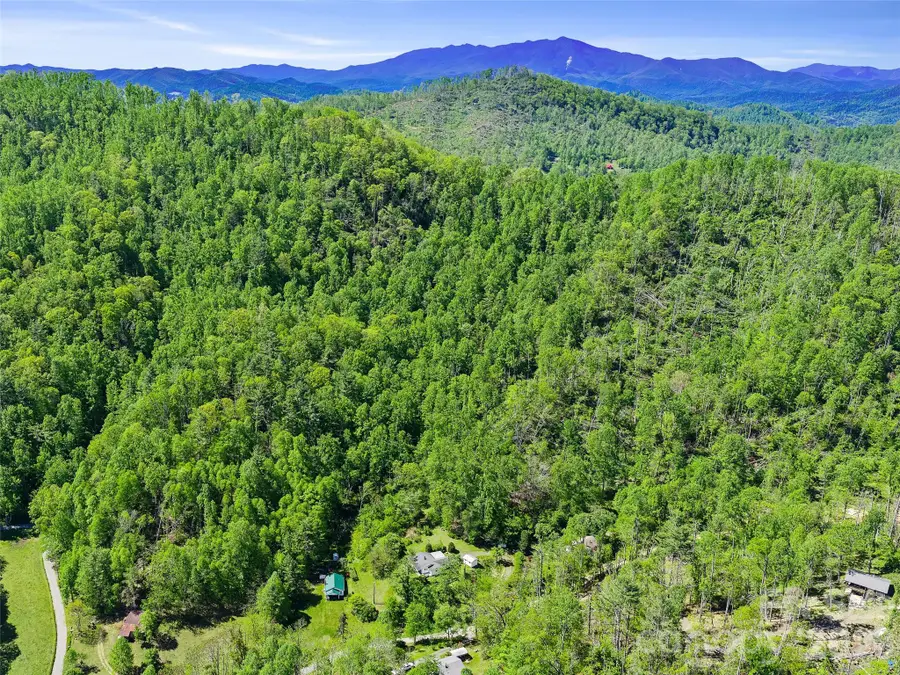 615 Fred Sparks Road, Bakersville, NC 28705 - #2