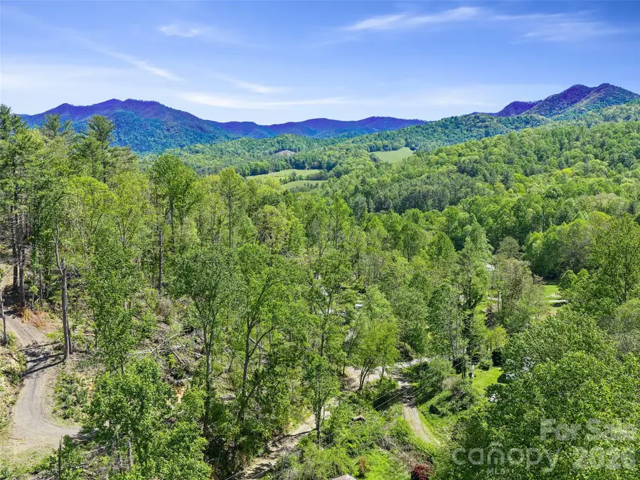 615 Fred Sparks Road, Bakersville, NC 28705 - #3