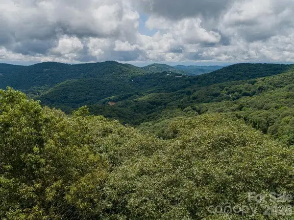 366 Birch Springs Lane #366, Mars Hill, NC 28754