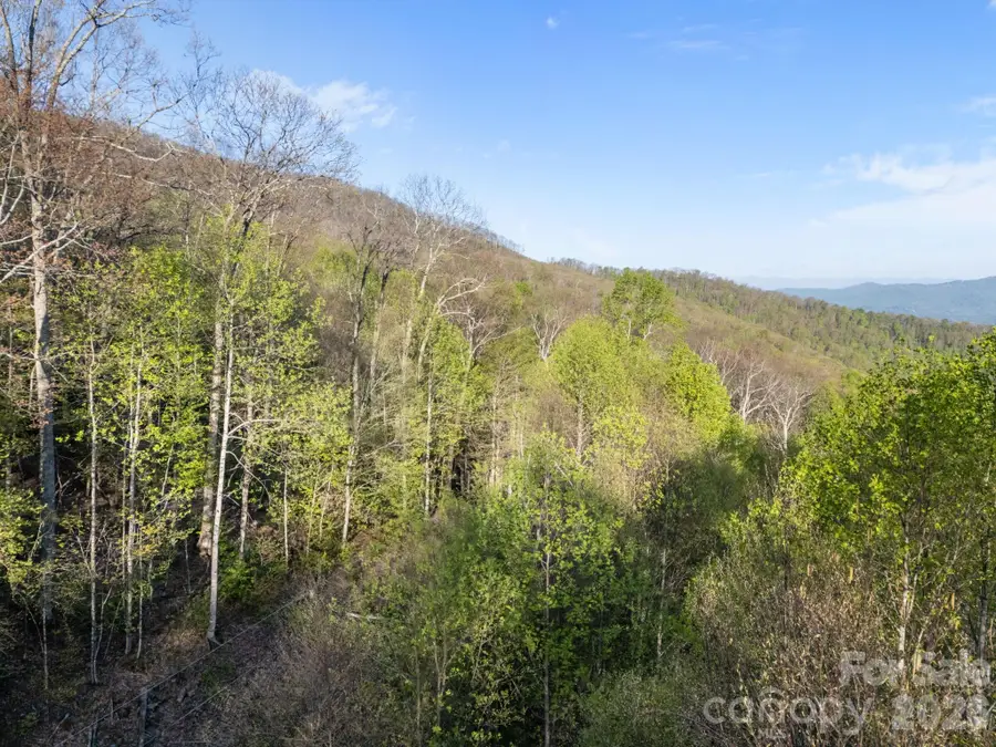 58 Mountain Azalea Drive, Swannanoa, NC 28778 - #2