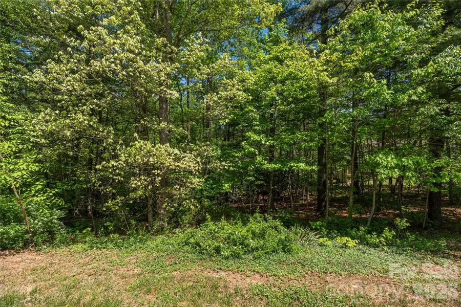 305 Freedom Trail Court, Zirconia, NC 28790 - #2