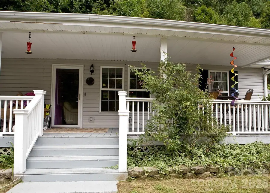 165 Peepeye Cove Road, Leicester, NC 28748 - #2