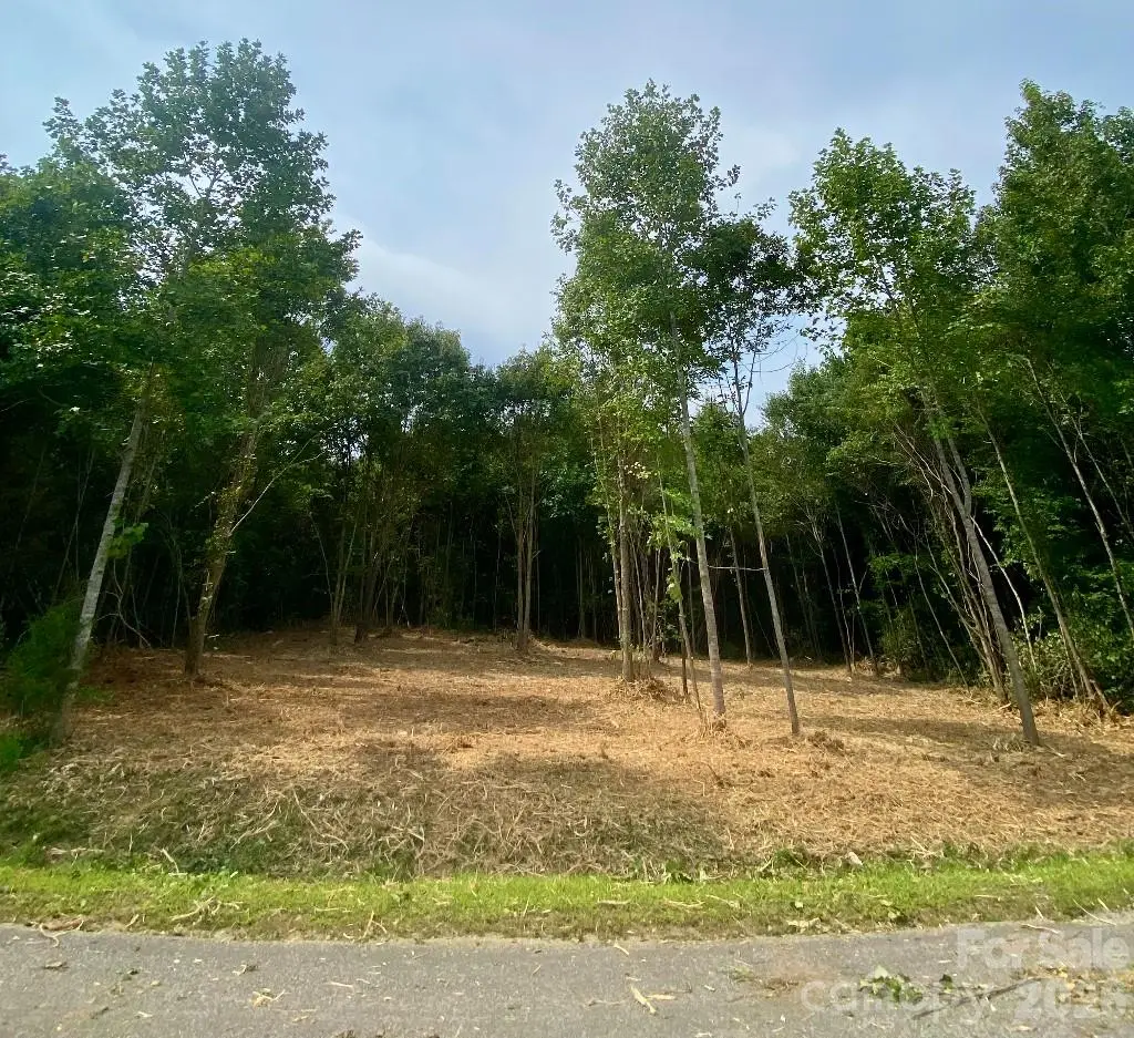 3 Erwin Temple Church Road, Woodleaf, NC 27054 - #1