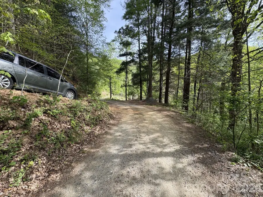 999999 Harwood Road #2, Barnardsville, NC 28709 - #2