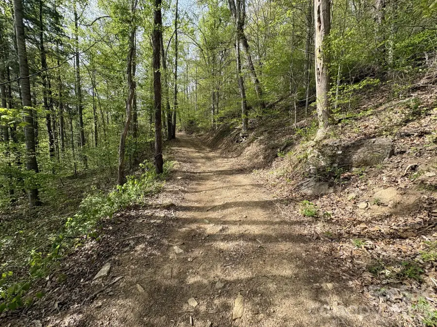 999999 Harwood Road #2, Barnardsville, NC 28709 - #3