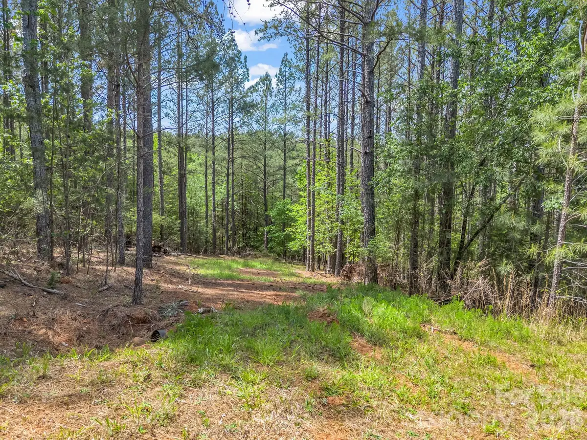 111 Cranberry Lane, Mooresboro, NC 28114 - #1