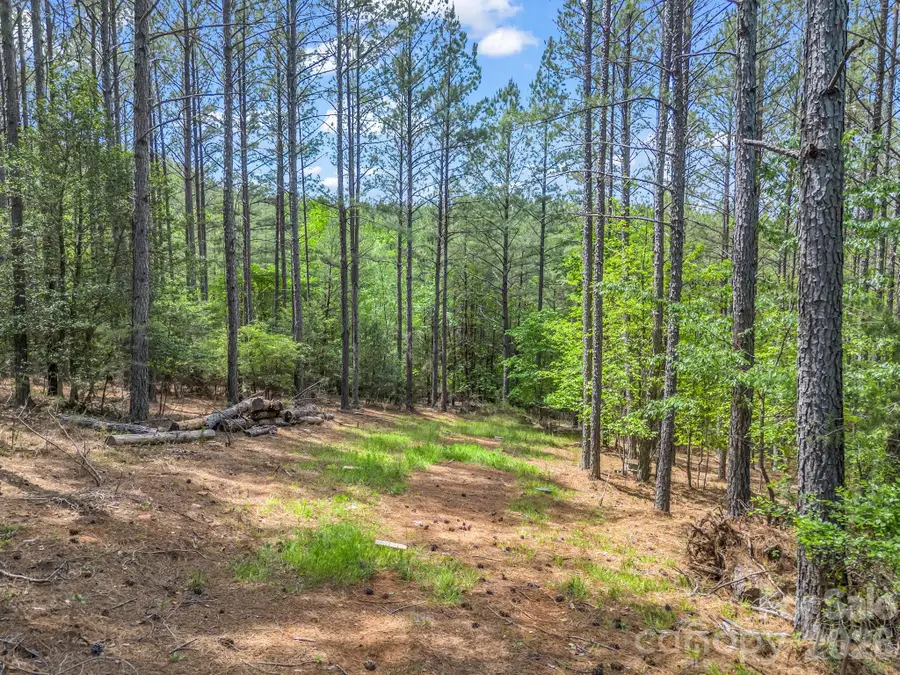 111 Cranberry Lane, Mooresboro, NC 28114 - #2