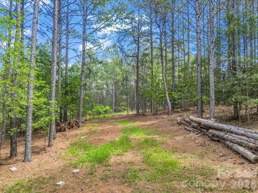 111 Cranberry Lane, Mooresboro, NC 28114 - #3