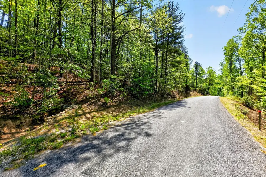 131-133 Mckenzie Way N, Old Fort, NC 28762 - #2