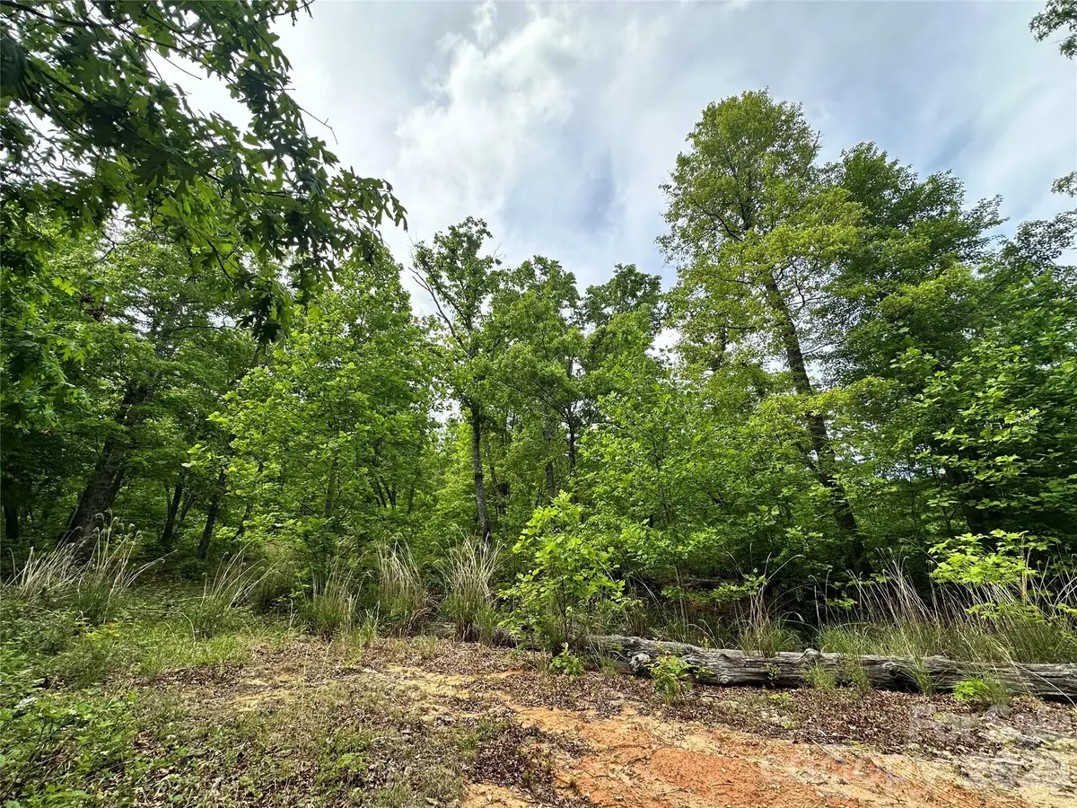 99999 Bird Creek Estates Road, Black Mountain, NC 28711 - #1
