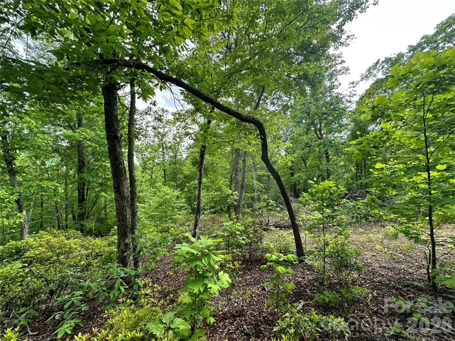 99999 Bird Creek Estates Road, Black Mountain, NC 28711 - #3