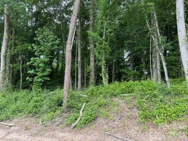 1799 Haire Road, Yadkinville, NC 27055 - #2