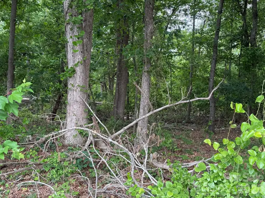 1799 Haire Road, Yadkinville, NC 27055 - #3