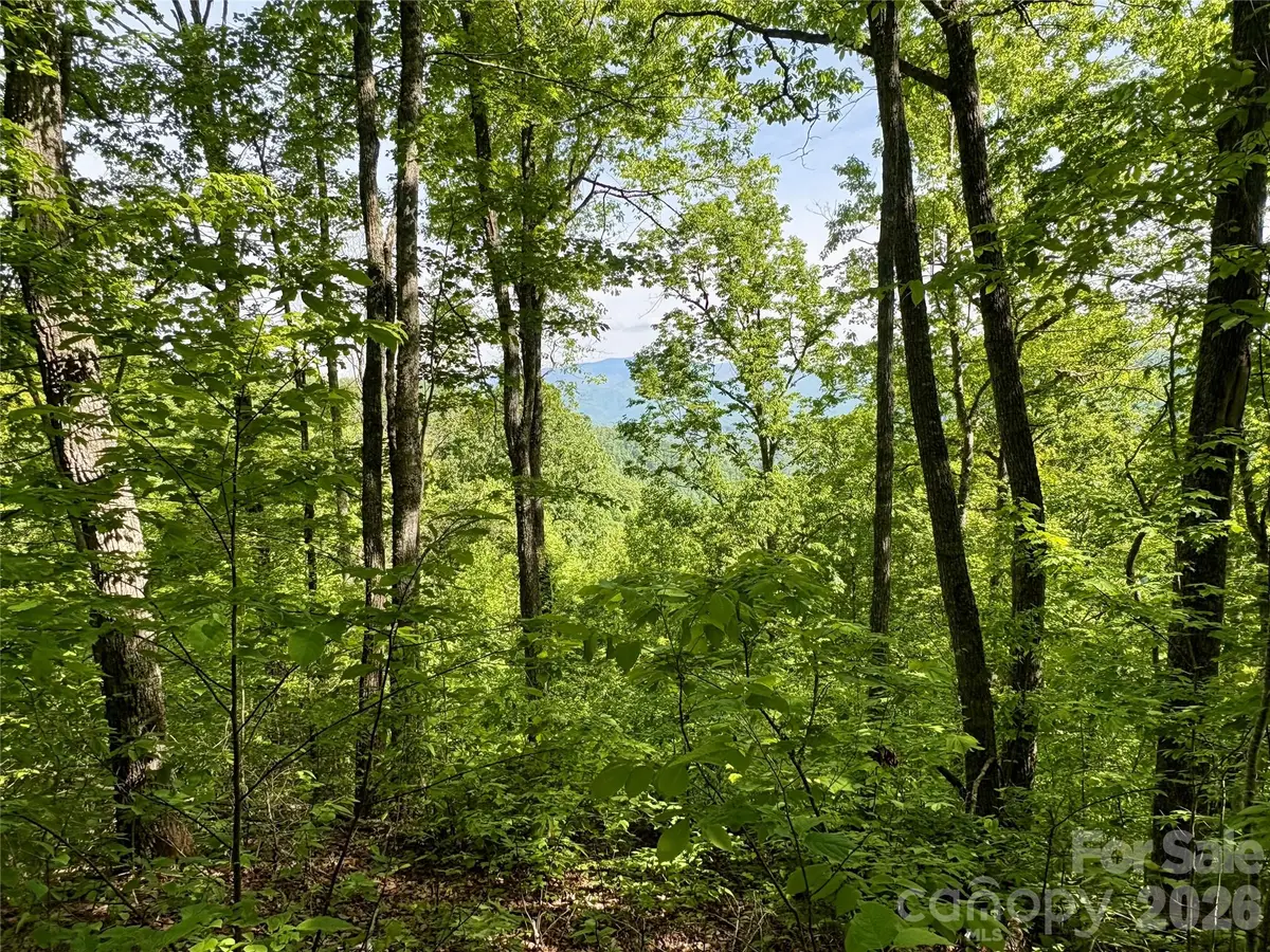 0 Carpenter Road, Bryson City, NC 28713 - #1
