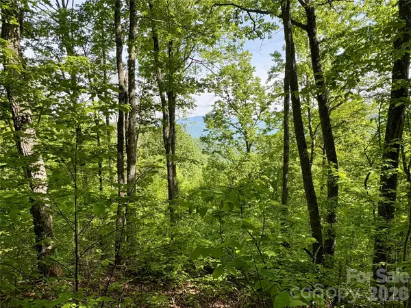 0 Carpenter Road, Bryson City, NC 28713