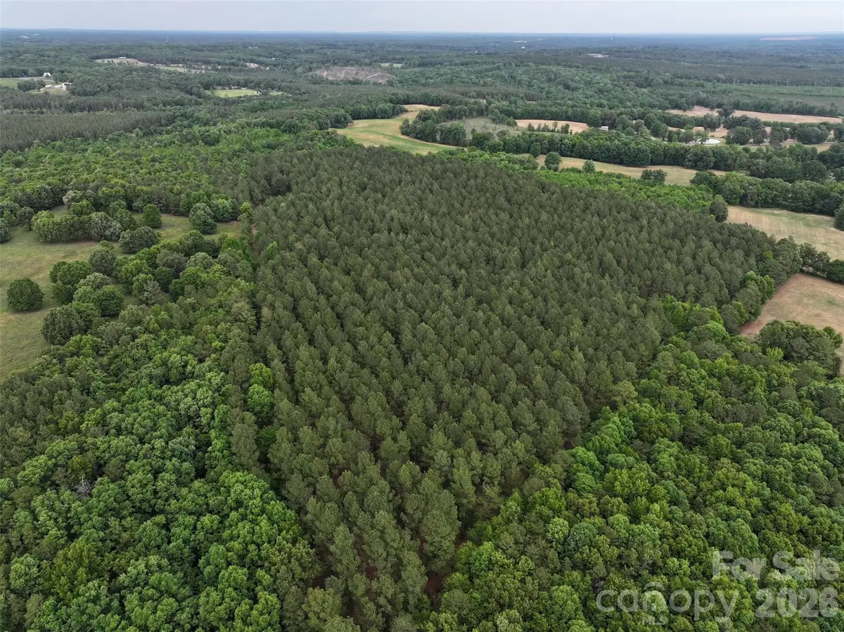 TBD Hasty Road N, Peachland, NC 28133 - #1