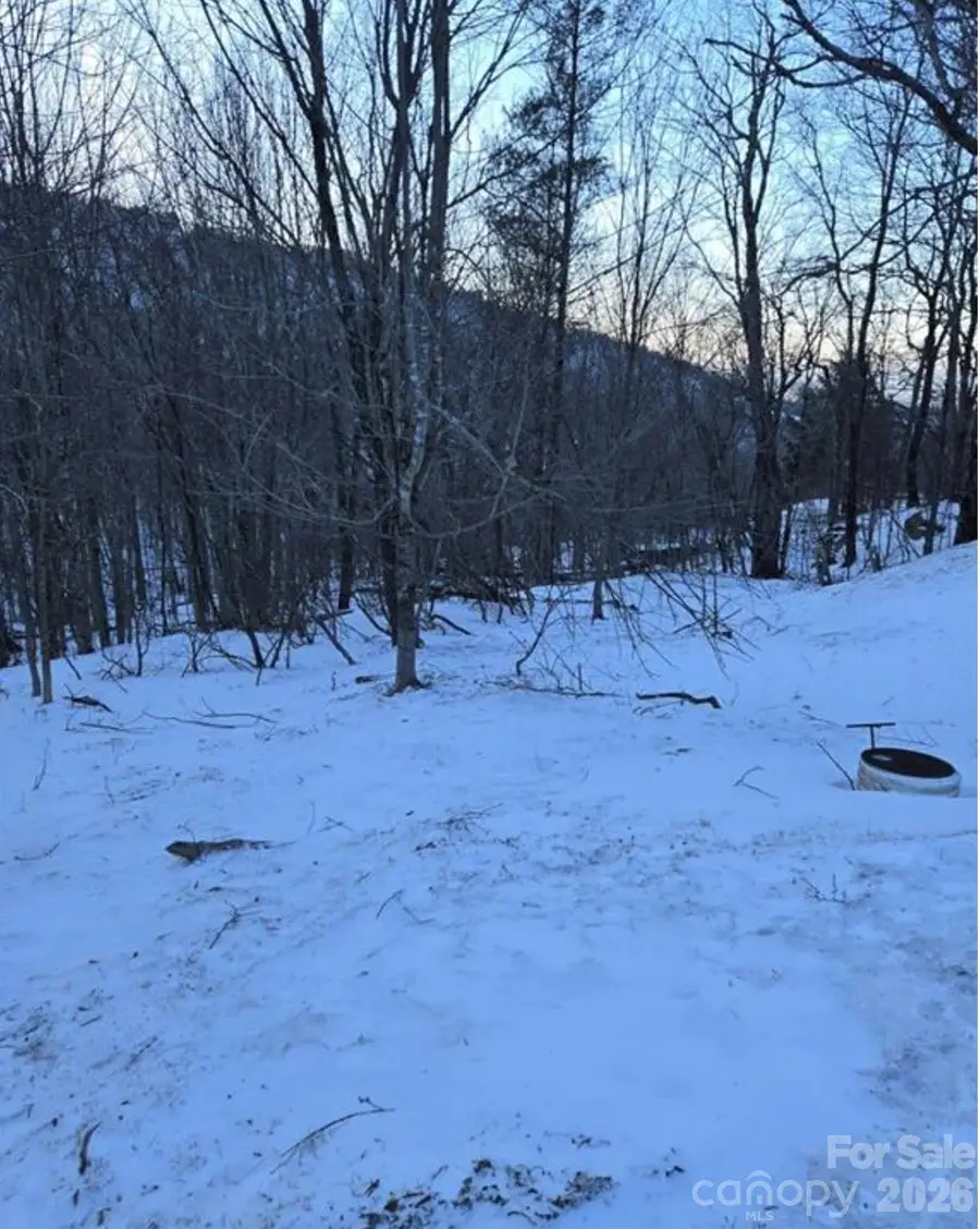 103 Snowplow Lane, Beech Mountain, NC 28604 - #2