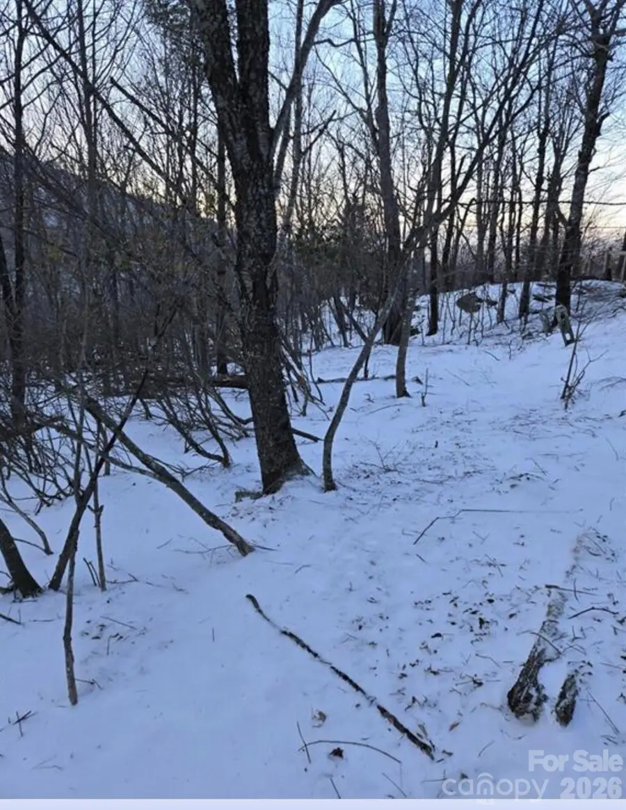 103 Snowplow Lane, Beech Mountain, NC 28604 - #3