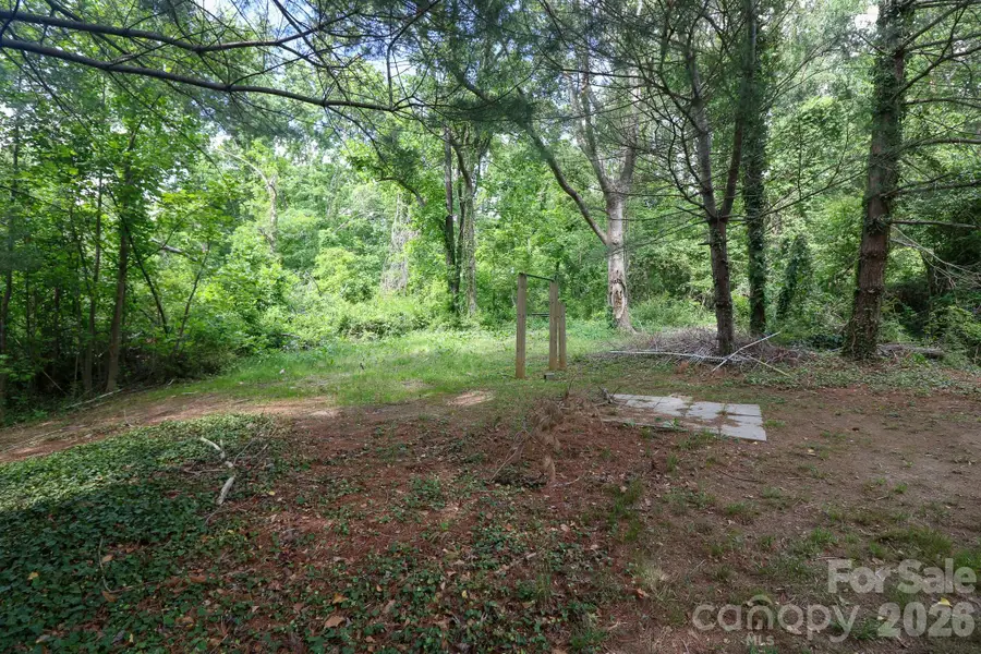 131 Upper Grassy Branch Road, Asheville, NC 28805 - #2