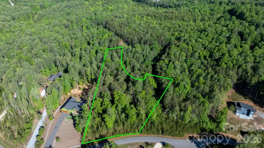 3030 Channel View Cove, Morganton, NC 28655 - #3
