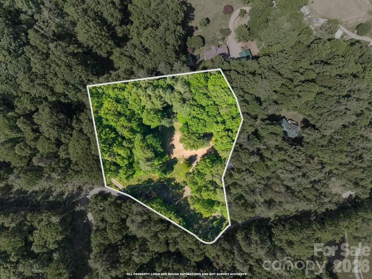 31 White Bridge Road, Weaverville, NC 28787 - #1