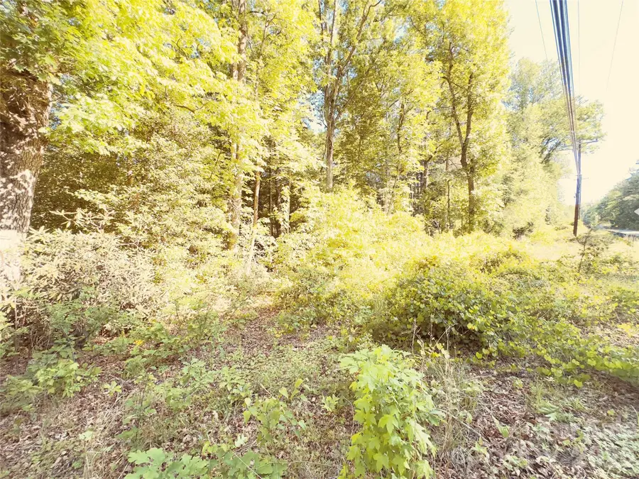 00 Cedar Brook Lane #13B & 15, Nebo, NC 28761 - #2