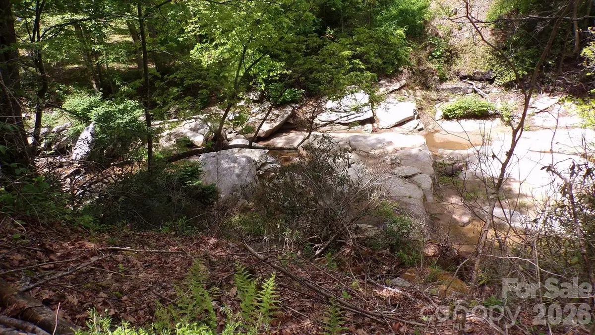 216 Paradise Road, Hendersonville, NC 28792 - #1