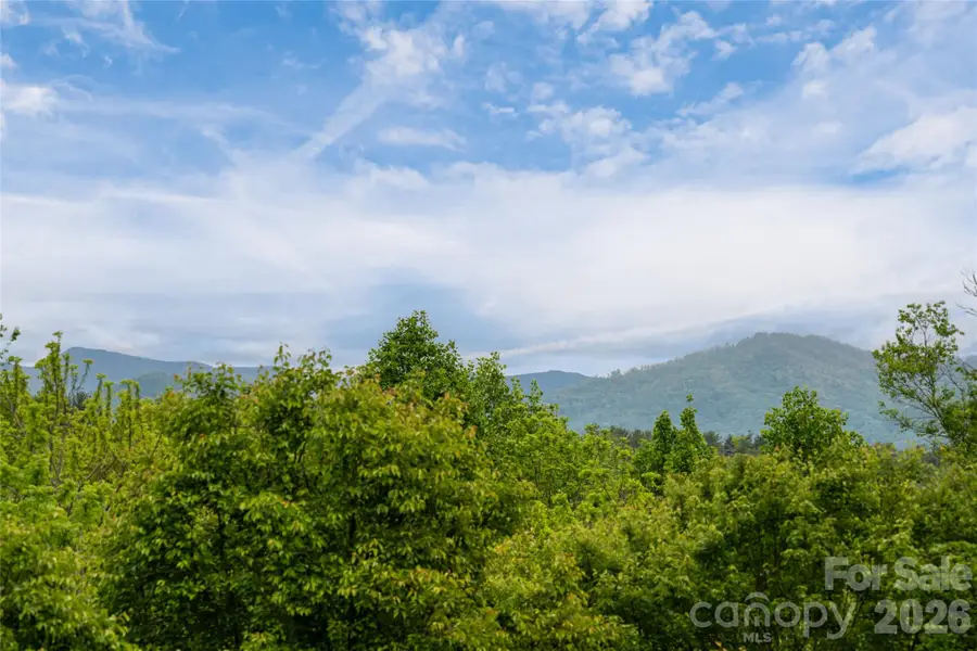 56 Donna Lane, Alexander, NC 28701 - #3