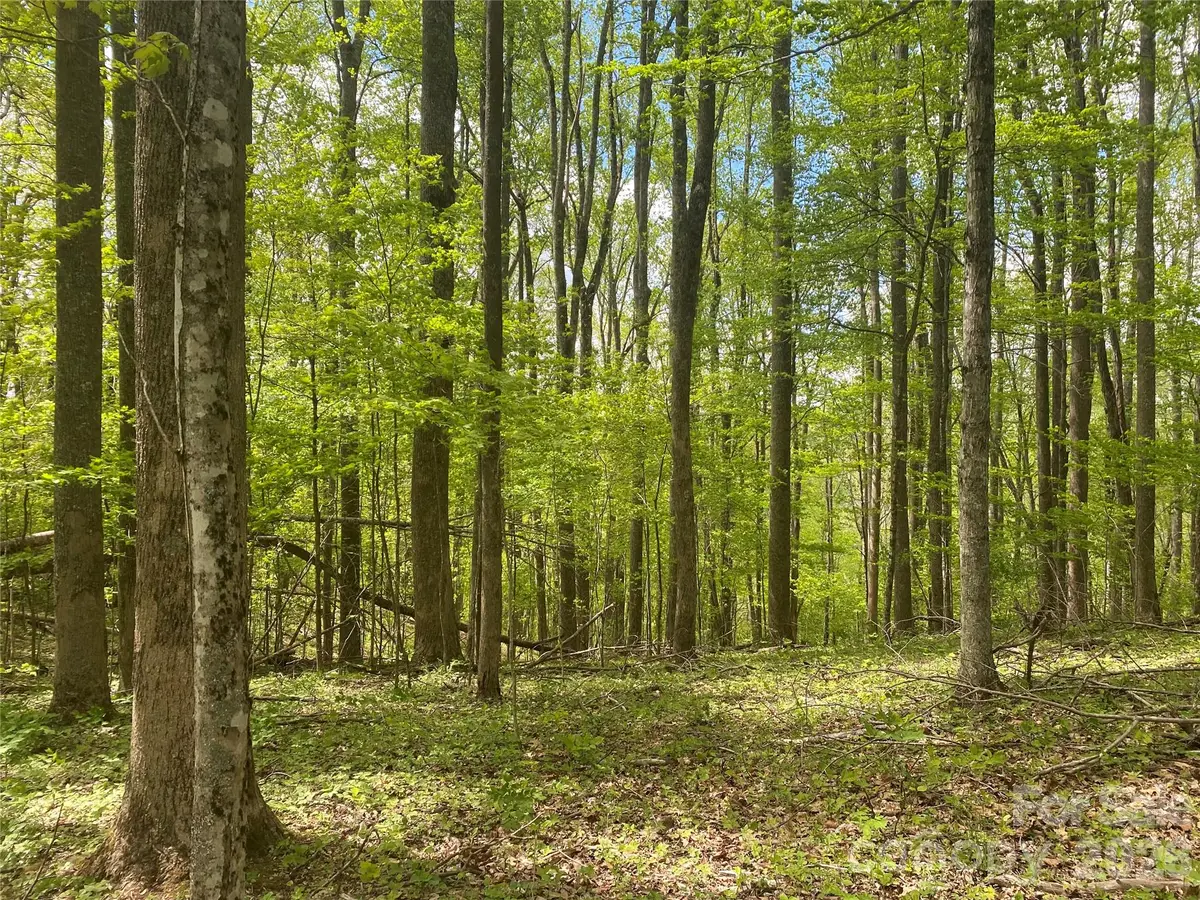TBD Us 23 Highway, Mars Hill, NC 28754 - #1