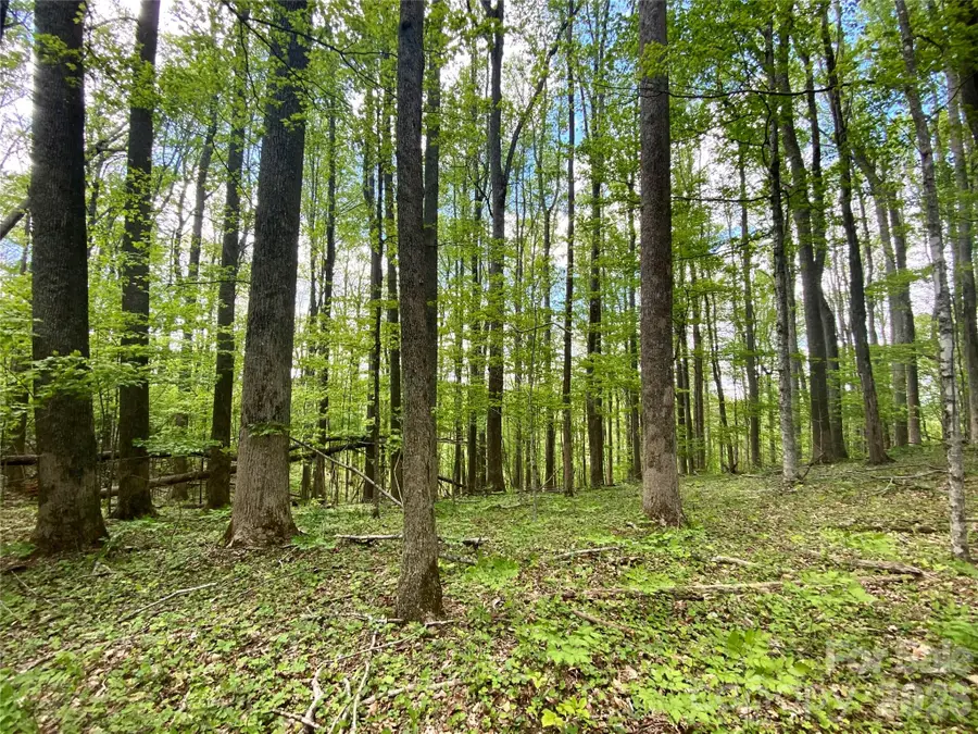 TBD Us 23 Highway, Mars Hill, NC 28754 - #3